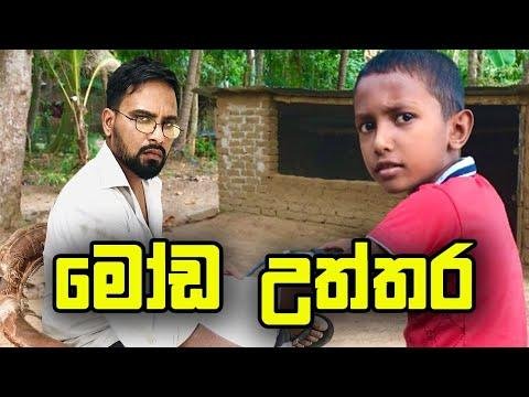 මඩ උතතර  Attaraya funny comedy sinhala tiktok srilanka video wasthi - Attaraya  ඇටටරය thumbnail