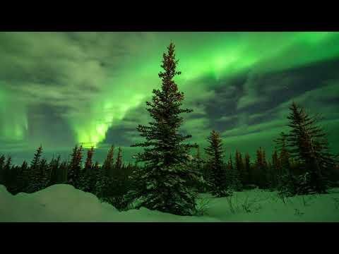 Arctic Auroras  K Ultra HD Northern Lights Timelapse Compilation from Fort Yukon Alaska - Apalapse thumbnail