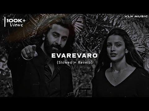 Animal  Evarevaro Slowed  Reverb  Ranbir Rashmika  VLN Music - VLN Music thumbnail