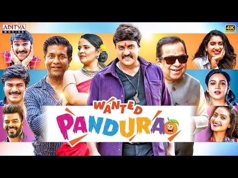 Wanted PanduRao Hindi Dubbed Movie  Sunil Anasuya  Brahmanandam  South Movie  - Aditya Movies thumbnail