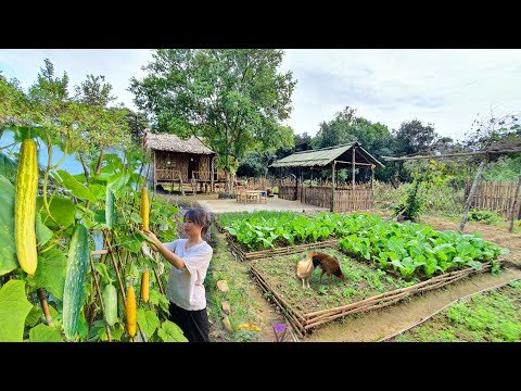 Full Video  Days of farm life Gardening Farming Cooking Animal Care  Sơn Thôn - Sơn Thôn thumbnail