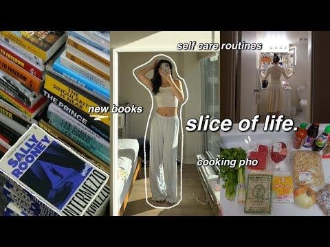 introvert diaries  productive days in my life home cooking deep cleaning amp self care routines  - Breanna Quan thumbnail