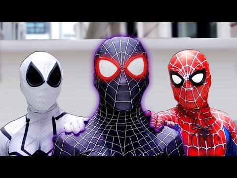 TEAM SPIDERMAN vs BAD GUY TEAM  Are You VENOM   Live Action  - FLife TV thumbnail