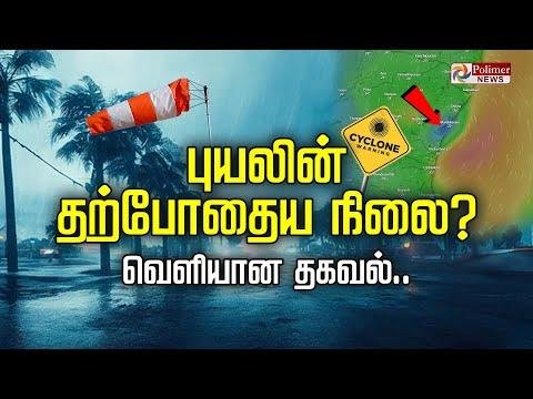 LIVE  பயலன தறபதய நல வளயன தகவல  Feinjal Cyclone  Rain Fall  TN Rain - Polimer News thumbnail