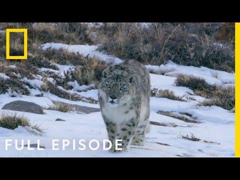 Mountains Full Episode  Hostile Planet - National Geographic thumbnail