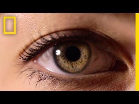 Eyes The Windows to Your Health  National Geographic - National Geographic thumbnail