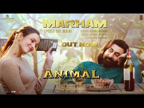 ANIMAL Marham Pehle Bhi Main Song Ranbir KapoorTripti Dimri SandeepVishal MRaj SBhushan K - TSeries thumbnail