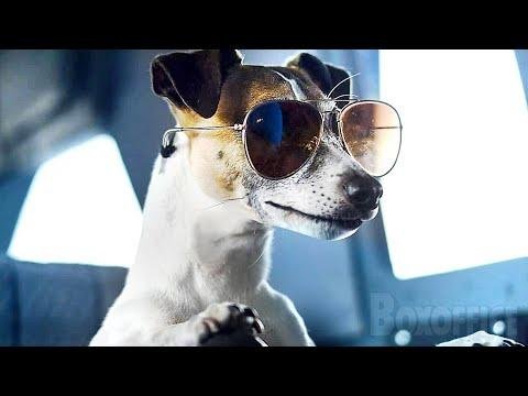 Crazy Dog  Full Movie in English  Family Funny Comedy - Films for Family thumbnail