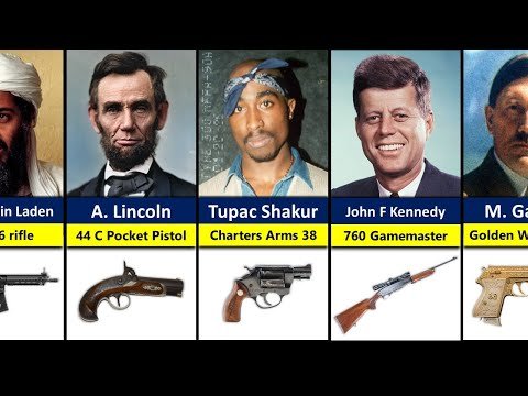 Guns That Killed Historical Figures - Pure Data Comparison thumbnail