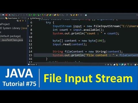 Java Tutorial   Java File Input Stream Class Examples File Handling - Programming For Beginners thumbnail