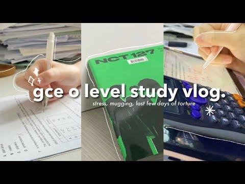 study vlog the last few days of gce o level   singapore - jeonlogy thumbnail