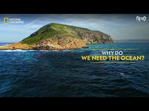 Why Do We Need the Ocean  Hostile Planet  Full Episode SE  हनद  National Geographic - National Geographic India thumbnail