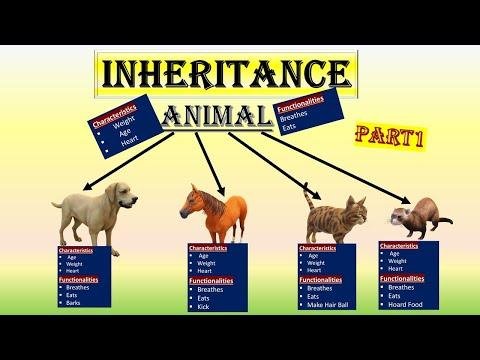 INHERITENCE IN JAVA WITH SIMPLE REAL LIFE EXAMPLE - Aarzoo क Tamanna thumbnail