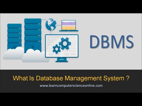 What Is Database Management System   What Is DBMS  - Learn Computer Science thumbnail