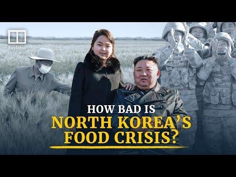 North Koreas food crisis How hungry are people in the hermit kingdom - South China Morning Post thumbnail