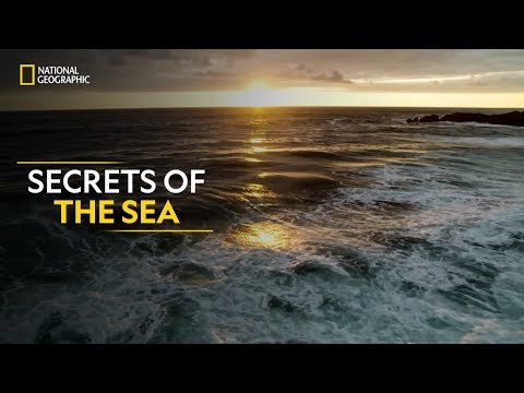 Secrets of the Sea  Hostile Planet  Full Episode SE  हनद  National Geographic - National Geographic India thumbnail