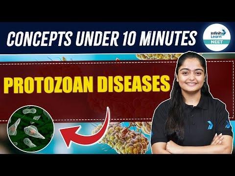 Protozoan Diseases Human Health amp Disease  Quick Revise  NEET   Class  Biology  TANIA - Infinity Learn NEET thumbnail