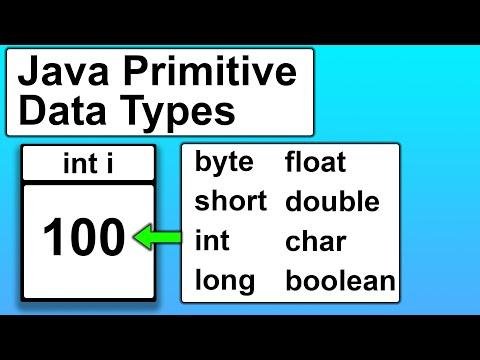 Java Introduction to Variables and Primitive Data Types  Java Tutorial for Beginners - Thomas Jadallah thumbnail