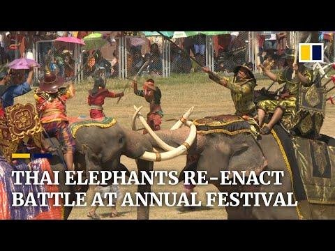 Elephants reenact battle at an annual festival in Thailand - South China Morning Post thumbnail