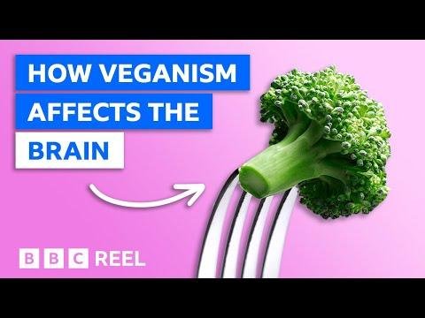 How a vegan diet affects your brain  BBC REEL - BBC Global thumbnail