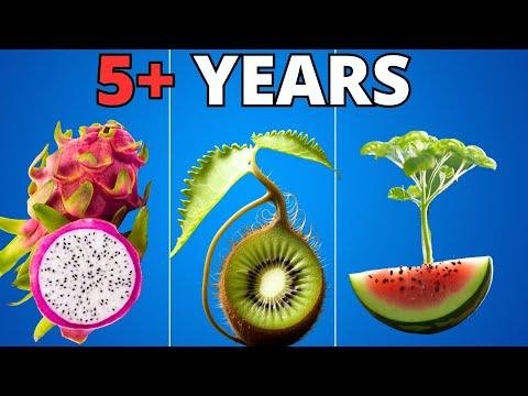 I Grew Plants for  YEARS to Make This TIMELAPSE Compilation - Interesting as FCK thumbnail