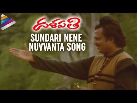 Sundari Nene Nuvvanta Song  Dalapathi Movie Songs  Rajnikanth Mani Ratnam Ilayaraja - Telugu Filmnagar thumbnail